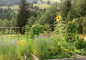 Natur erleben im Bayerischen Wald